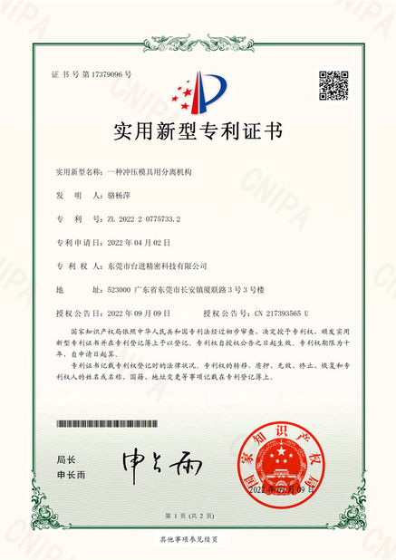 China Guangdong Taijin Semiconductor Technology Co., Ltd zertifizierungen